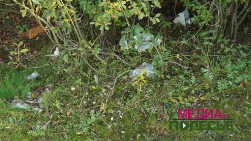 Цудатворны вадаём Пурхаўка прыцягвае і летам, і зімой. Не хапае добраўпарадкавання