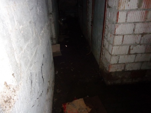 Дом, который тонет