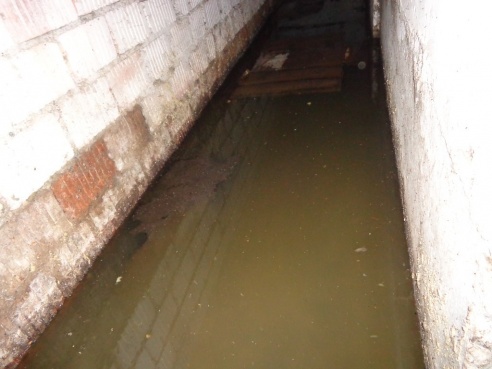 Дом, который тонет