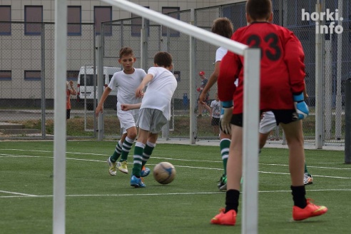 Футбольная тренировка в Горках. Фоторепортаж8