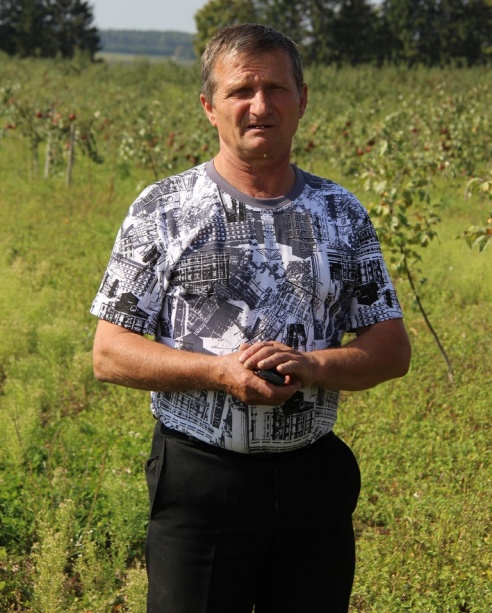 Грибовщина. Яблочный сезон