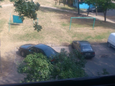 Короли Пинска (продолжение)