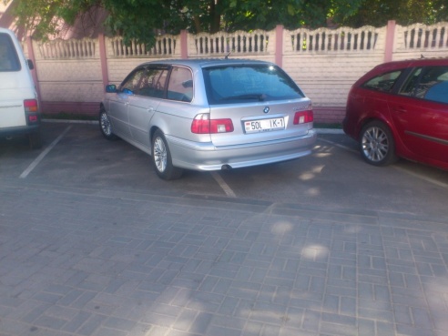 Короли Пинска (продолжение)