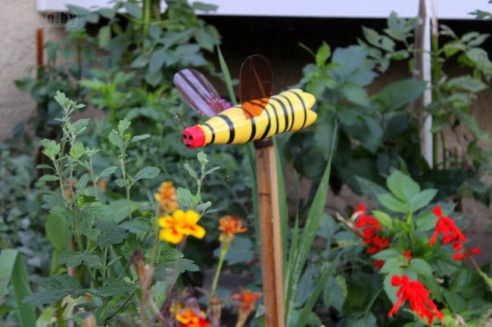 Люди в городе: могилевчане, которые выращивают цветы у своих подъездов