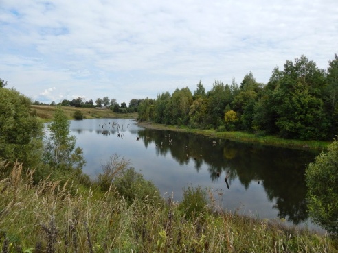 120 км на велосипеде