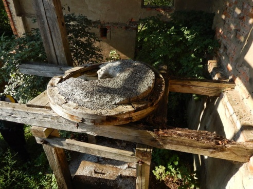 120 км на велосипеде