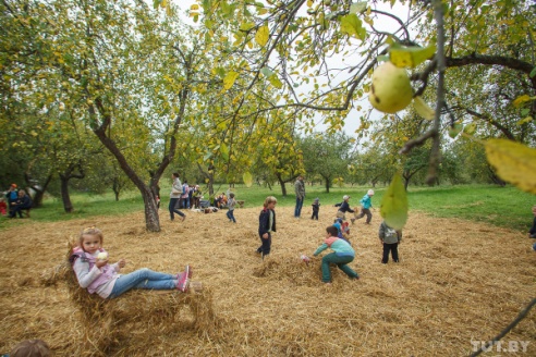 Богач прошел по Вязынке (фото)
