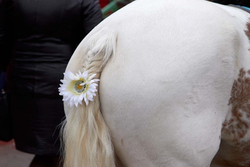 Так Мсціслаў адгуляў Дзень горада