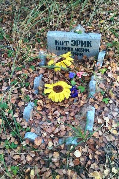 Нужны ли кладбища домашних животных в Бобруйске?