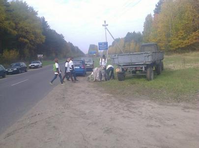 В Лунинецком районе от мусора очистили 250 гектаров леса