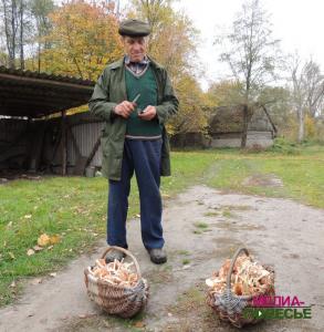 Спасибо, пню, или 18 лукошков за 4 дня Спасибо, пню, или 18 лукошков за 4 дня