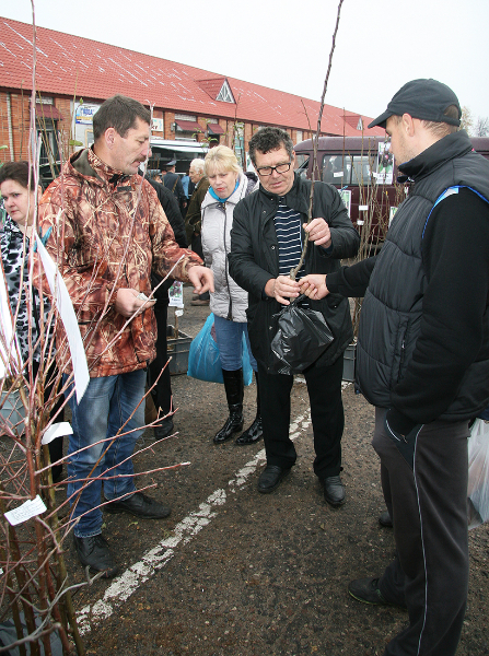 Як прапануеш, так і нагандлюеш (+фота)