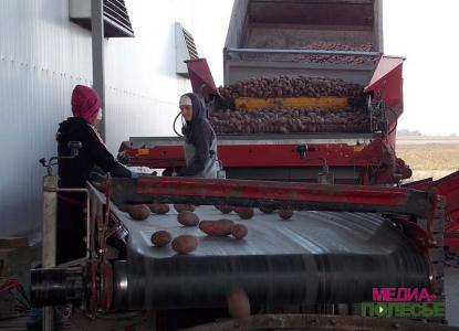 Михаил Шруб: «Землю надо давать там, где её просят»