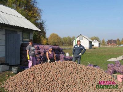 Михаил Шруб: «Землю надо давать там, где её просят»