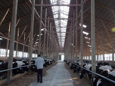 Михаил Шруб: «Землю надо давать там, где её просят»