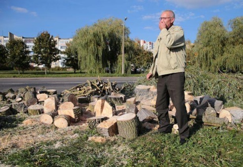 Вакол Свяцілаўскага возера пілуюць вербы, каб пракласці залеўную каналізацыю