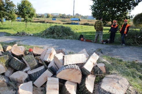 Вакол Свяцілаўскага возера пілуюць вербы, каб пракласці залеўную каналізацыю