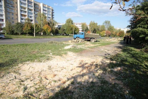 Вакол Свяцілаўскага возера пілуюць вербы, каб пракласці залеўную каналізацыю