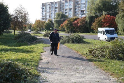 Вакол Свяцілаўскага возера пілуюць вербы, каб пракласці залеўную каналізацыю
