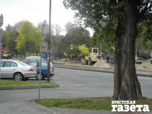 В Бресте в ходе реконструкции набережной будет снесено порядка 240 деревьев