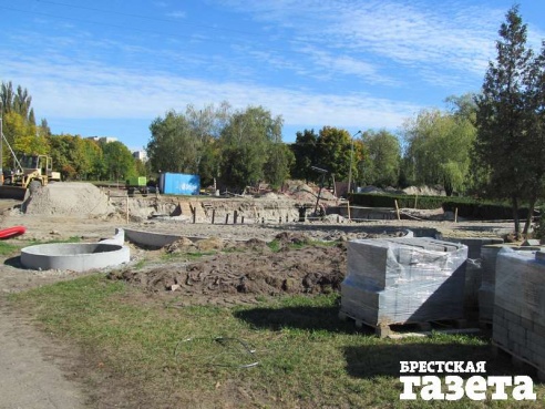 В Бресте в ходе реконструкции набережной будет снесено порядка 240 деревьев