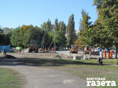 В Бресте в ходе реконструкции набережной будет снесено порядка 240 деревьев