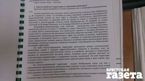 В Бресте в ходе реконструкции набережной будет снесено порядка 240 деревьев