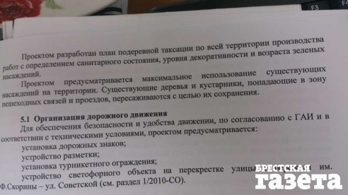 В Бресте в ходе реконструкции набережной будет снесено порядка 240 деревьев