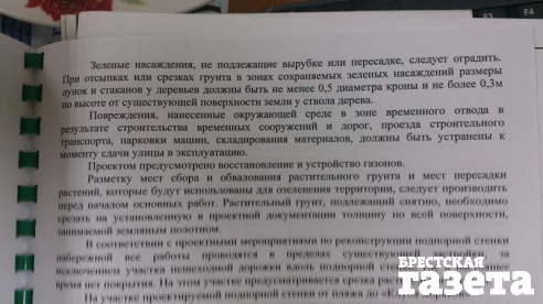 В Бресте в ходе реконструкции набережной будет снесено порядка 240 деревьев
