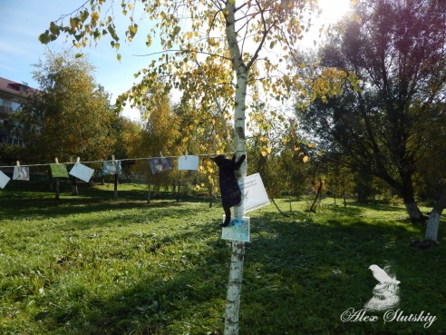 Понаблюдали за птицами