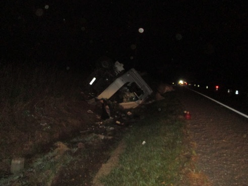 Фура столкнулась с повозкой в Рогачевском районе. Погибла женщина, ее дети в реанимации