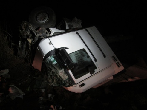 Фура столкнулась с повозкой в Рогачевском районе. Погибла женщина, ее дети в реанимации