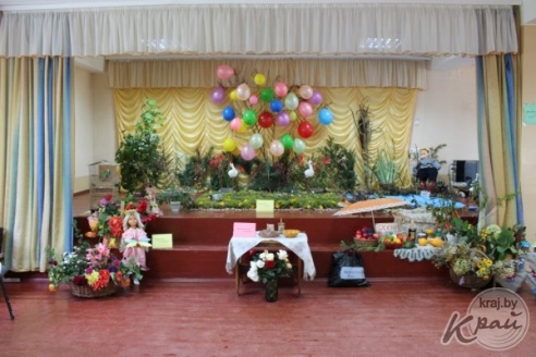 Как в Вязыни на Вилейщине работают 85-летние волонтеры (ФОТО)