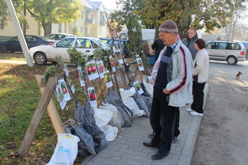 В Кобрине начался сезон ярмарок
