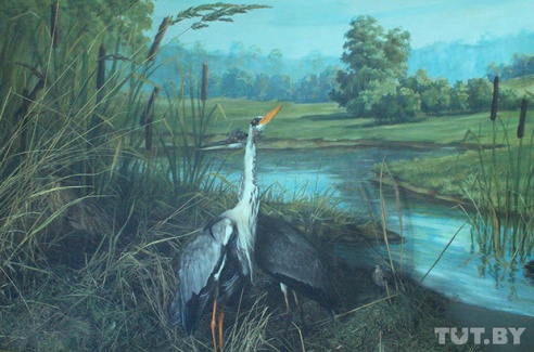 Легенды Белорусского Полесья. Фоторепортаж из Калинковичского краеведческого музея