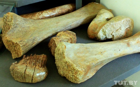 Легенды Белорусского Полесья. Фоторепортаж из Калинковичского краеведческого музея