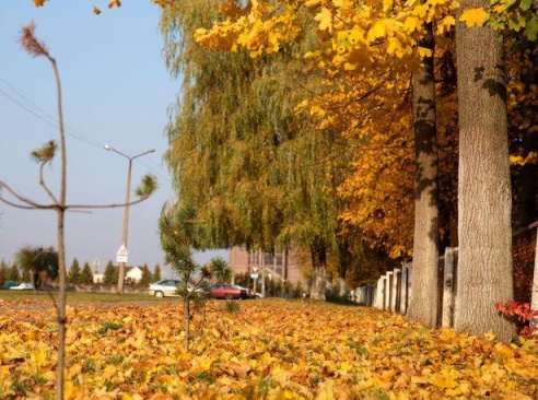 Бабье лето в Барановичах