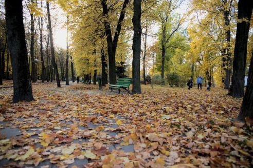 Бабье лето в Барановичах