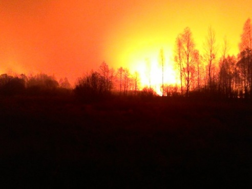 Пожар под Речицей стал «местом паломничества» местных автомобилистов