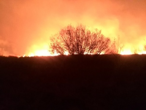 Пожар под Речицей стал «местом паломничества» местных автомобилистов