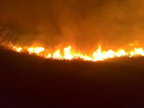 Пожар под Речицей стал «местом паломничества» местных автомобилистов