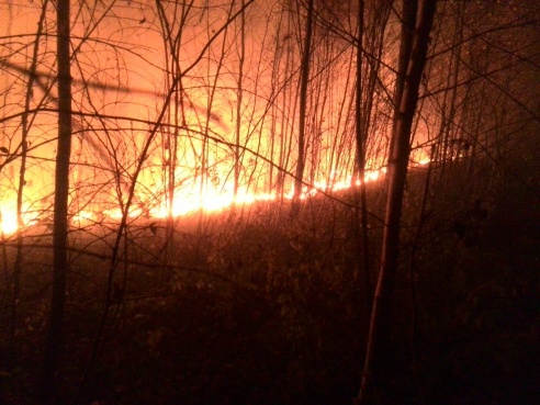 Пожар под Речицей стал «местом паломничества» местных автомобилистов