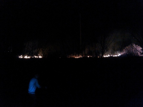 Пожар под Речицей стал «местом паломничества» местных автомобилистов