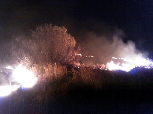 Пожар под Речицей стал «местом паломничества» местных автомобилистов