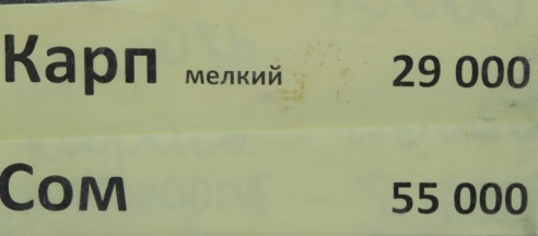 Приглашают ярмарки