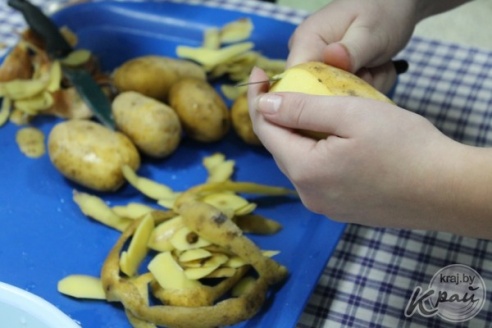 В шестом конкурсе профмастерства «Драник-шоу» в Вилейском профтехколледже победила команда «Зольковцы» (ФОТО)