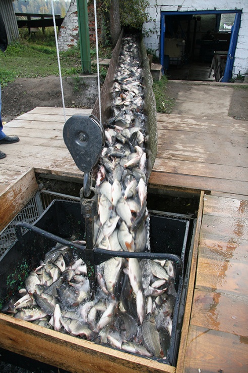 Графік работы — напружаны