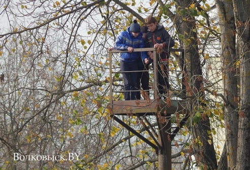 Цементник сделал заявку на выход в финал Регионального Кубка (фото)