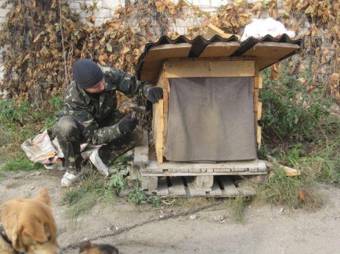 Барановичские волонтеры привезли корм и отремонтировали будки в приюте для бездомных животных