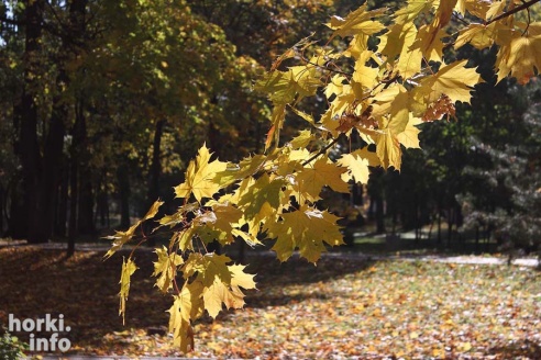 Бабье лето в Горках